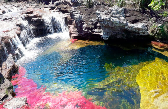 Caño Cristales – el río de colores