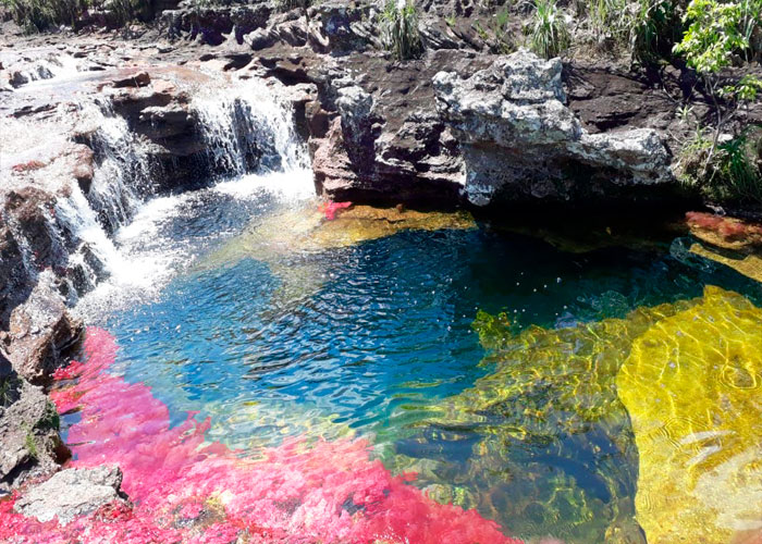 Caño Cristales – el río de colores